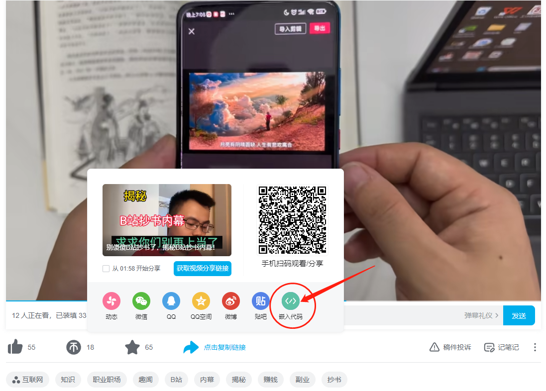 如何在wordpress網(wǎng)站中插入B站視頻